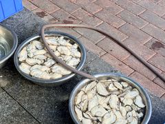 -花苑美食横琴生蚝火锅(拱北粤华路店)