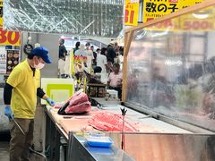 -南纪白浜Toretore市场