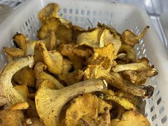 -菌之家·专业纯野生菌火锅·特色炒菌