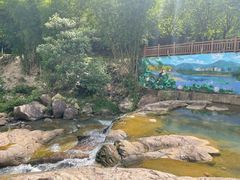 -广州白江湖森林公园