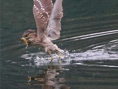 -重庆彩云湖湿地公园