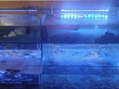 -特色酱椒鱼私房菜(黄鹤楼店)