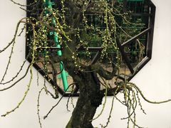 -香雪海
