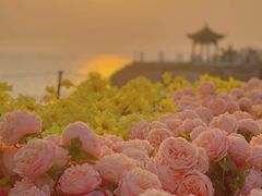 -红岛休闲渔村