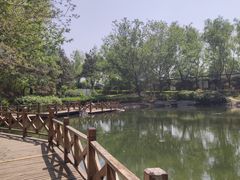 -云岗森林公园