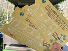 -合肥滨湖国家森林公园