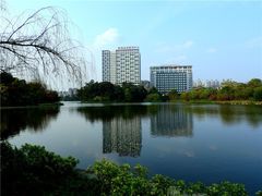 -雀儿山公园