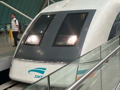 -龙阳路磁悬浮列车总站-停车场