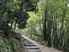 -缙云山景区
