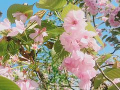 -湘湖金融镇