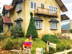 -黄色小屋
