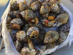 -崖口红树林海鲜餐厅