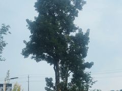 -洪湖家庭农场·团建·露营·会议