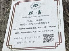 -乌石村