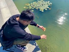 -金鸡湖游船(月光码头)