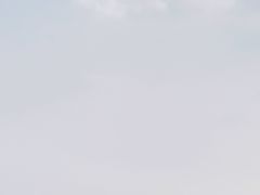 -Rabbit Cafe私房西餐甜点咖啡(栖霞路店)