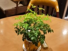 -香厨中餐厅(松北香格里拉店)