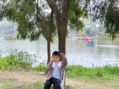 -枫香湖儿童公园