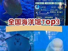 -泉城欧乐堡海洋极地世界