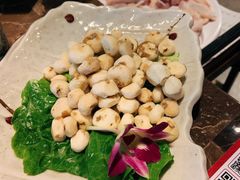 野生珍珠小马蹄-同仁四季椰子鸡(海岸城天利店)