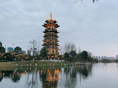 -洋湖国家湿地公园