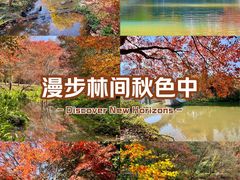 -田野绿世界