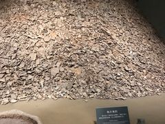 景点-金沙遗址博物馆