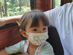 -合肥滨湖国家森林公园