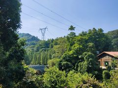 -广州市帽峰山景区