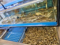 -启博美食城(孟家店)