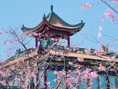 -宝墨园景区