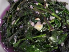 -全乐鱼馆·淳牌有机鱼直营店