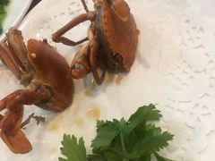 -友强·23年特色海鲜大排档(厦门店)