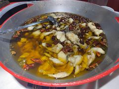 -雲蜀龙阁·金牌水煮鱼(方庄店)