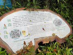 -青芝山风景名胜区