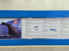 -上海海洋大学鱼文化博物馆(军工路校区)