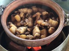 -霞姐屯昌枫木香草鸭店(海螺店)