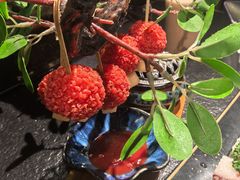 -唐猫庭院·千年陕菜(赛格国际购物中心店)