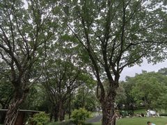 -云溪植物园