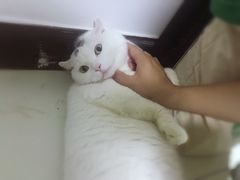 -原麦山丘(五棵松华熙店)