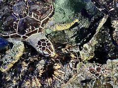 -福州罗源湾海洋世界旅游区