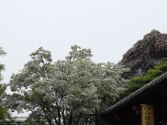 -青州古城