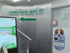 -爱侣宠医·鹦鹉专科·小型哺乳类·异宠专科(灵石路店)