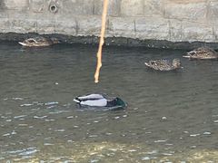 -元大都城垣遗址公园