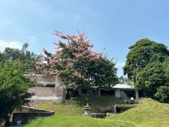 -凤阁楼果木烧鹅(鹤山陈山店)