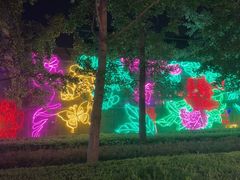 -南宫五洲植物乐园