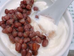 -义顺牛奶公司(新马路老店)
