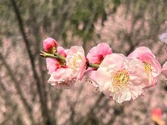 -苏州湾体育公园