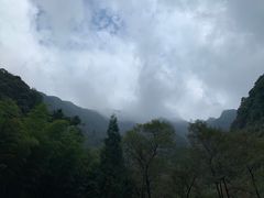 -白云源风景区