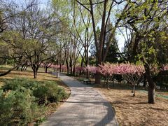 -玲珑塔公园